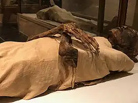Égypte,_Le_Caire,_Musée_des_Antiquités_Égyptiennes,_Momie_de_Ramsès_IV_(49593651862)
