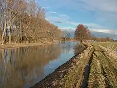 Río Haná en la puerta de Vyškov, Moravia