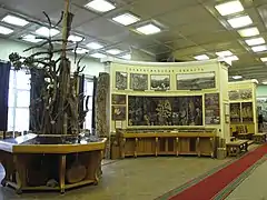 Sala del museo botánico.