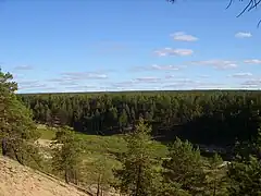 Vista de la taiga de las tierras bajas