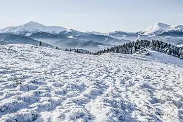 Monte Hoverla