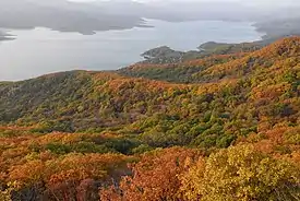 Bosque caducifolio del lago Songhua (Manchuria)