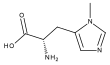 Imagen de la estructura
