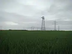 Postes eléctricos sobre campos de trigo