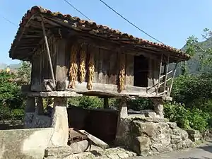 Este hórreo está en activo con las mazorcas colgadas para su secado. El hueco bajo se aprovecha para guardar herramienta