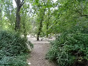 Entorno. Camino y al fondo bancos y mesas