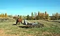 Paisaje rural con caballo pastando y apero de labranza en Arroyo Cerezo, Castielfabib (Valencia), otoño 2016.