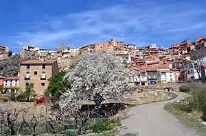 Vista parcial de Castielfabib (Valencia), desde la Vega Zaragoza, con detalle de cerezo en flor (2016).