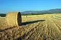 Detalle de rulo de paja en un rastrojo de Mas del Olmo, Ademuz (Valencia).