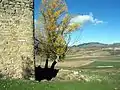 Vista de Santo domingo de Moya, desde el abrevadero de La Coracha del castillo de Moya (Cuenca).