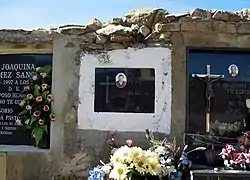 Detalle de señalizaciones funerarias en el cementerio de Puebla de San Miguel (2006).