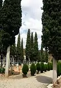 Vista interior del cementerio municipal de Torrebaja, con detalle de cipreses y señalizaciones en tierra (2009).