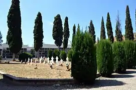 Vista interior del cementerio municipal de Torrebaja, con detalle de cipreses y señalizaciones en tierra (2016).