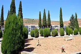 Vista interior del cementerio municipal de Torrebaja, con detalle de cipreses y señalizaciones en tierra (2016).