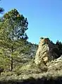 Detalle del paisaje por encima de los Estrechos del Cañamar, Ruta de los Estrechos del Ebrón, en Tormón (Teruel).