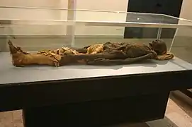 Momia de época grecorromana, de Tebas.