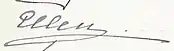 Firma de Elena Vladímirovna de Rusia