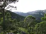 Sierra de Espuña