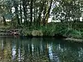 La vega en Castrelo del Valle