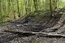 Bosque de Gémonval
