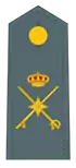 Divisa de general de brigada (Guardia Civil)