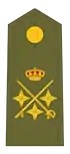 Teniente general