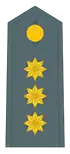 Divisa de coronel