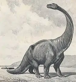 Gigantosaurus