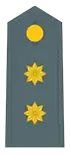 Divisa de teniente coronel