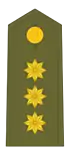 Divisa coronel Ejército de Tierra.