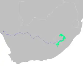 Se distribuye por montes y altiplanos de los Drakensberg.