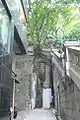 Un antiguo árbol en el muro de piedra de la calle