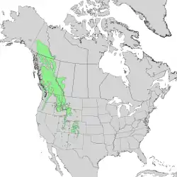 Distribución del Abies lasiocarpa.