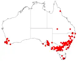 Distribución natural de Acacia baileyana