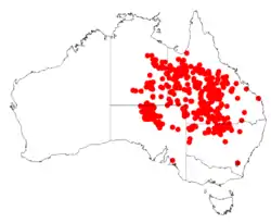 Distribución natural de Acacia cambagei.