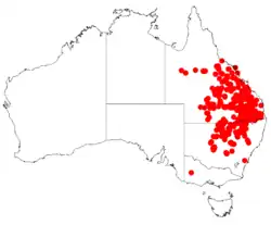 Distribución natural de Acacia harpophylla.