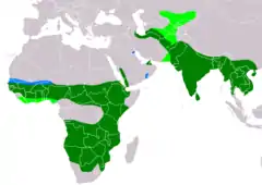 Distribución de Accipiter badius