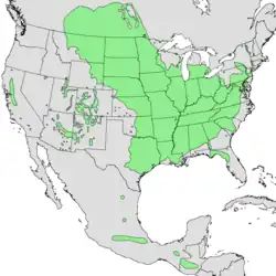 Distribución nativa de Acer negundo