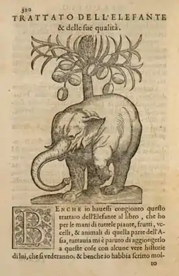 Ilustración de la pág. 320 de la edición de F. Ziletti (Venecia, 1585) del Tractado de las drogas... El último capítulo del libro trata sobre el elefante.