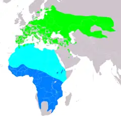 Distribución de Acrocephalus arundinaceus