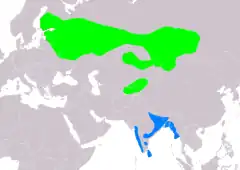 Distribución de Acrocephalus dumetorum