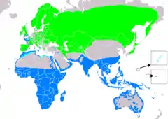 alt=Distribución de Actitis hypoleucos
     Área de cría.     Área de invernada.     Área de migración.     Área de invernada supuesta.     Área de migración supuesta.