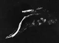 El Ryūjō como señuelo durante la batalla de las Salomón Orientales (24 de agosto de 1942).