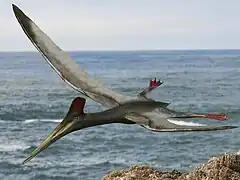 Pterodactylus (Pterosauria)