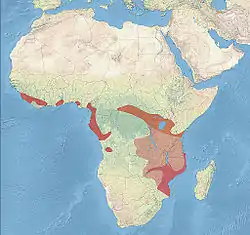 Distribución