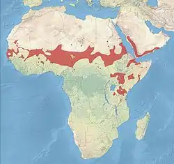 Distribución en rojo.