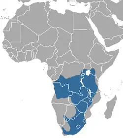 Distribución de la comadreja rayada africana