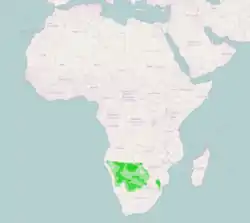 Distribución de L. australis