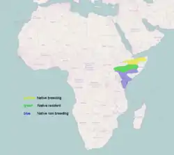 Distribución de L. shelleyi