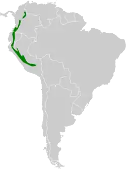 Distribución de Aglaeactis cupripennis